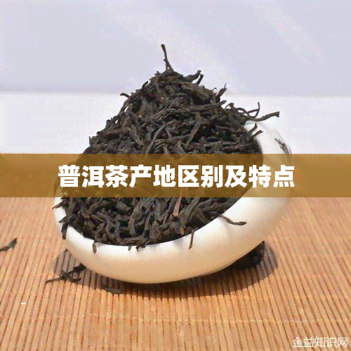 普洱茶产地区别及特点