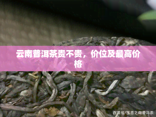 云南普洱茶贵不贵，价位及更高价格