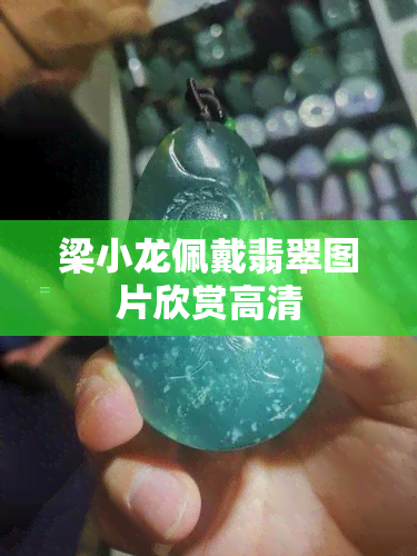 梁小龙佩戴翡翠图片欣赏高清