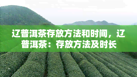 辽普洱茶存放方法和时间，辽普洱茶：存放方法及时长