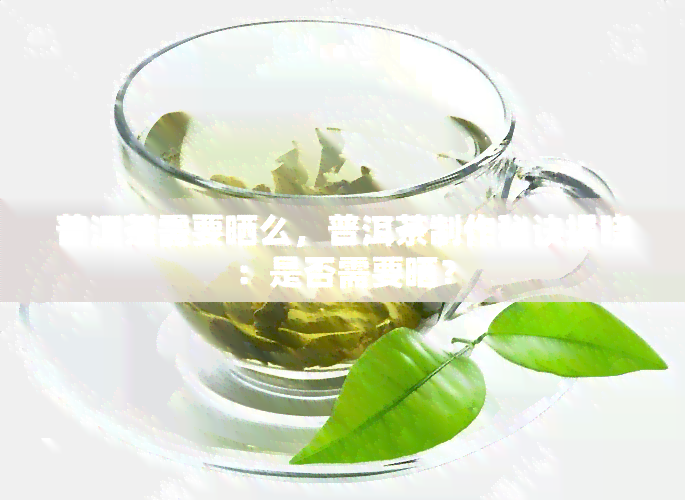 普洱茶需要晒么，普洱茶制作秘诀揭晓：是否需要晒？