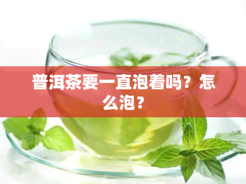 普洱茶要一直泡着吗？怎么泡？