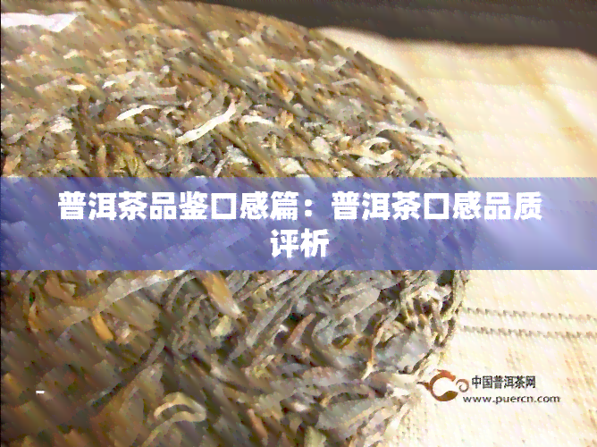 普洱茶品鉴口感篇：普洱茶口感品质评析