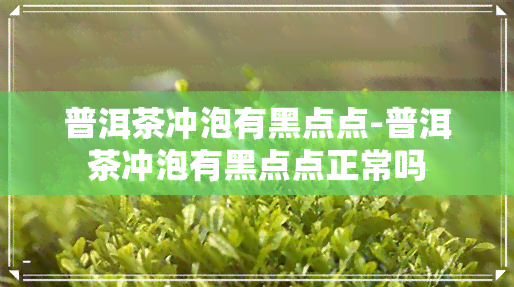 普洱茶冲泡有黑点点-普洱茶冲泡有黑点点正常吗