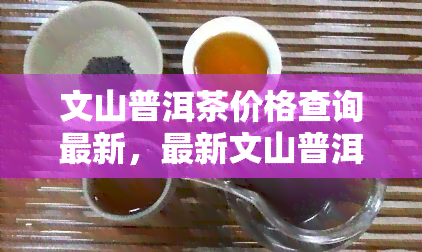 文山普洱茶价格查询最新，最新文山普洱茶价格查询