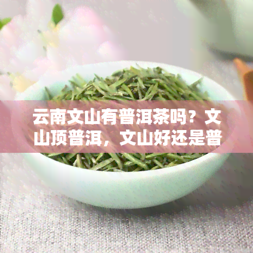 云南文山有普洱茶吗？文山顶普洱，文山好还是普洱好