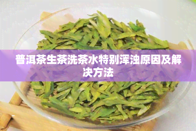 普洱茶生茶洗茶水特别浑浊原因及解决方法