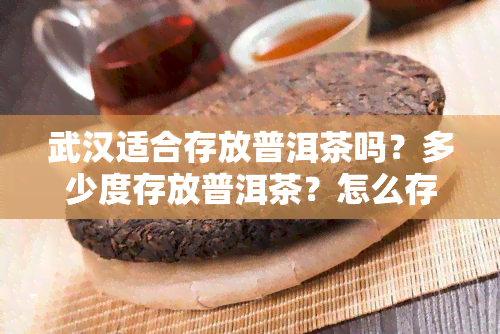 武汉适合存放普洱茶吗？多少度存放普洱茶？怎么存放？