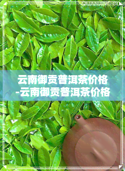 云南御贡普洱茶价格-云南御贡普洱茶价格表