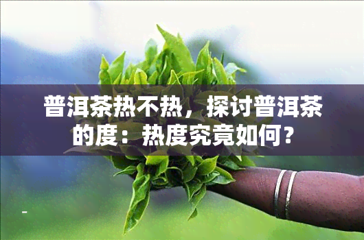 普洱茶热不热，探讨普洱茶的度：热度究竟如何？