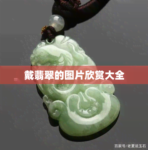 戴翡翠的图片欣赏大全