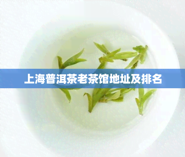 上海普洱茶老茶馆地址及排名