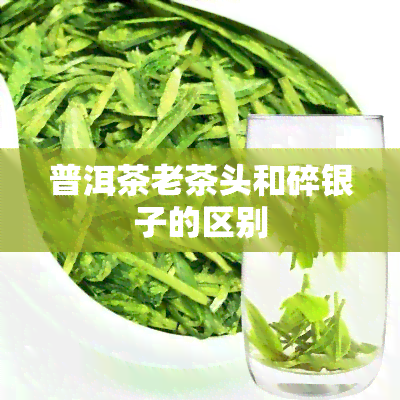 普洱茶老茶头和碎银子的区别