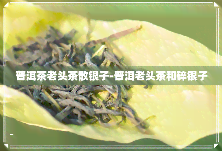 普洱茶老头茶散银子-普洱老头茶和碎银子