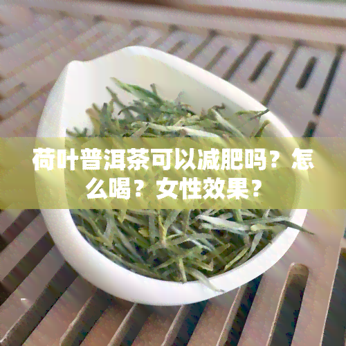 荷叶普洱茶可以减肥吗？怎么喝？女性效果？