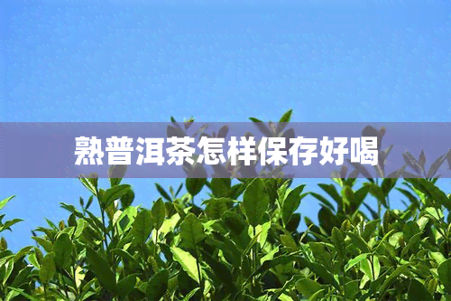 熟普洱茶怎样保存好喝