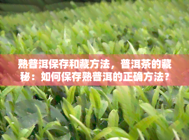 熟普洱保存和藏方法，普洱茶的藏秘：如何保存熟普洱的正确方法？