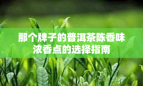 那个牌子的普洱茶陈香味浓香点的选择指南