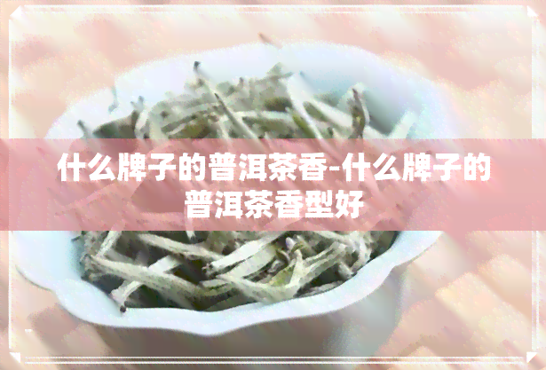 什么牌子的普洱茶香-什么牌子的普洱茶香型好