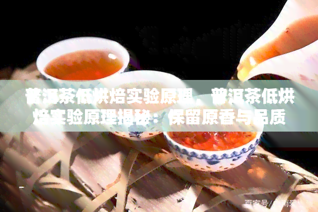 普洱茶低烘焙实验原理，普洱茶低烘焙实验原理揭秘：保留原香与品质的科学奥秘