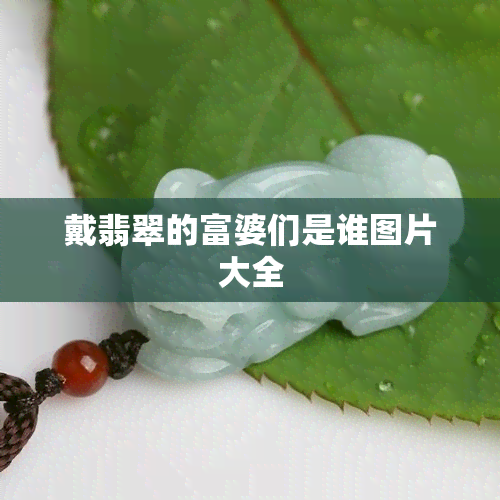 戴翡翠的富婆们是谁图片大全