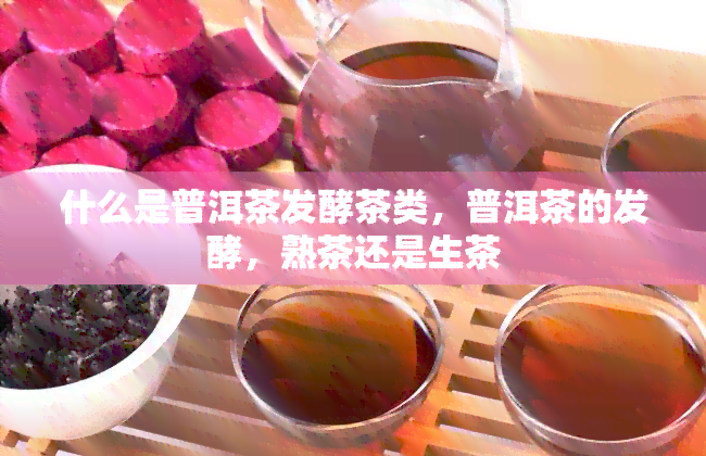 什么是普洱茶发酵茶类，普洱茶的发酵，熟茶还是生茶