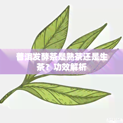 普洱发酵茶是熟茶还是生茶？功效解析