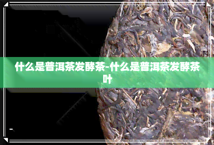 什么是普洱茶发酵茶-什么是普洱茶发酵茶叶