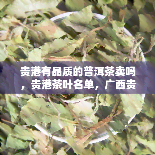 贵港有品质的普洱茶卖吗，贵港茶叶名单，广西贵港最有名的茶叶