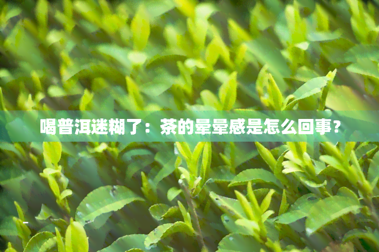 喝普洱迷糊了：茶的晕晕感是怎么回事？