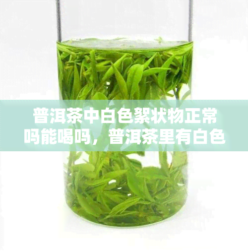 普洱茶中白色絮状物正常吗能喝吗，普洱茶里有白色的东西