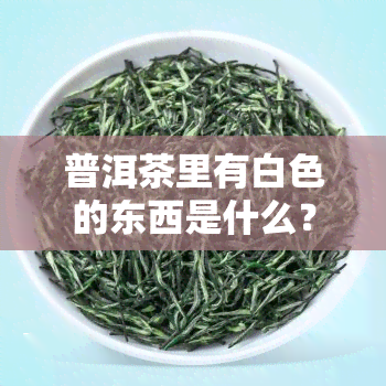 普洱茶里有白色的东西是什么？能喝吗？