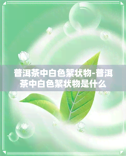 普洱茶中白色絮状物-普洱茶中白色絮状物是什么