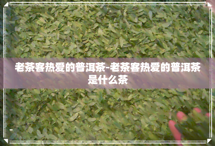 老茶客热爱的普洱茶-老茶客热爱的普洱茶是什么茶