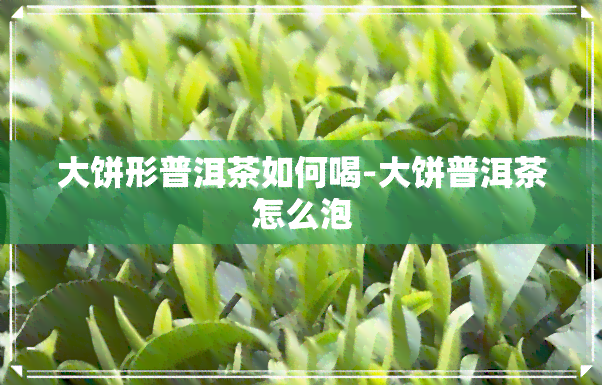 大饼形普洱茶如何喝-大饼普洱茶怎么泡