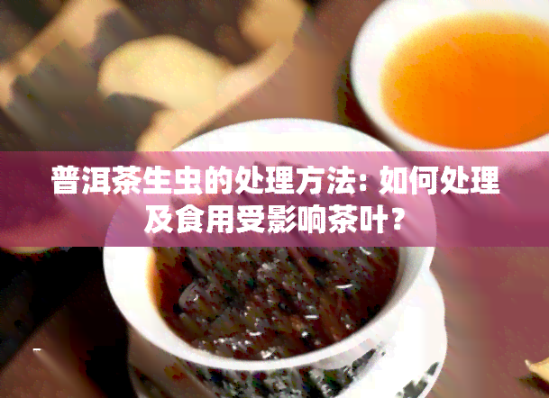 普洱茶生虫的处理方法: 如何处理及食用受影响茶叶？