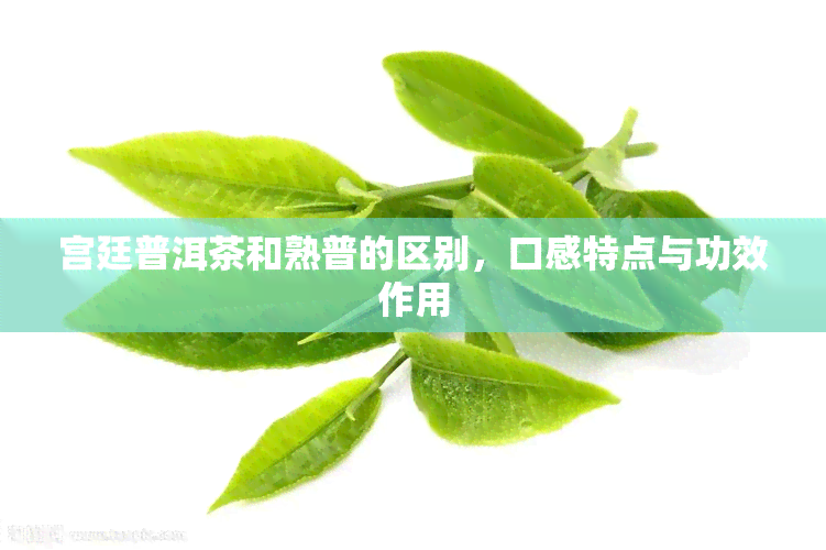 宫廷普洱茶和熟普的区别，口感特点与功效作用