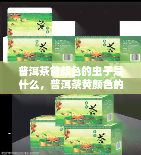 普洱茶黄颜色的虫子是什么，普洱茶黄颜色的虫子究竟是什么？