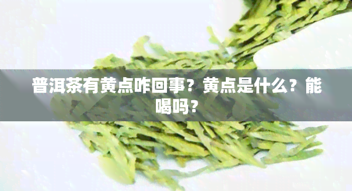 普洱茶有黄点咋回事？黄点是什么？能喝吗？