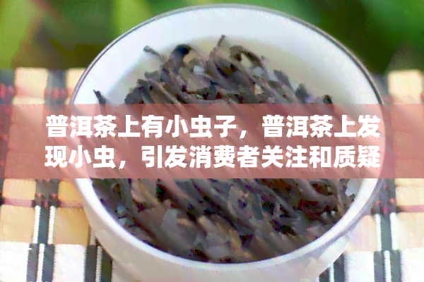 普洱茶上有小虫子，普洱茶上发现小虫，引发消费者关注和质疑