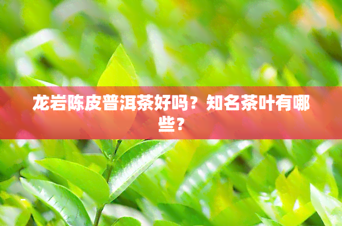 龙岩陈皮普洱茶好吗？知名茶叶有哪些？