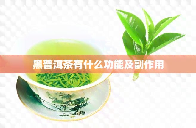 黑普洱茶有什么功能及副作用