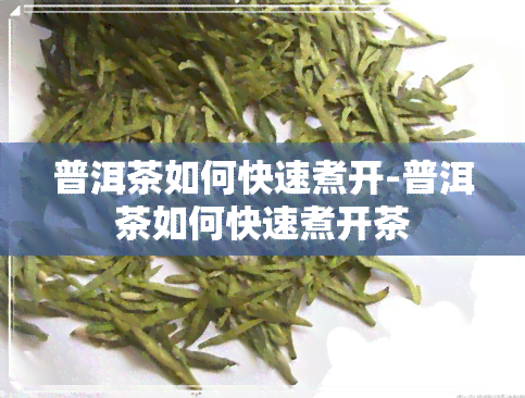 普洱茶如何快速煮开-普洱茶如何快速煮开茶