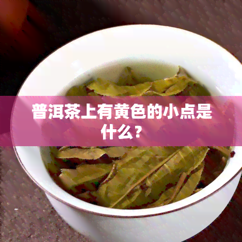 普洱茶上有黄色的小点是什么？