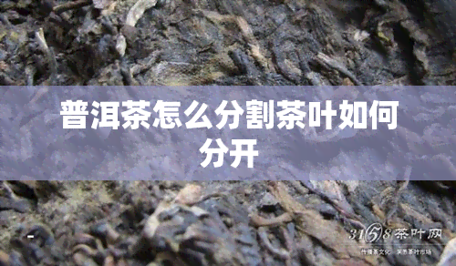 普洱茶怎么分割茶叶如何分开