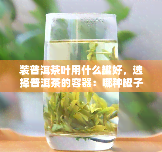 装普洱茶叶用什么罐好，选择普洱茶的容器：哪种罐子最适合装普洱茶叶？