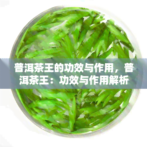 普洱茶王的功效与作用，普洱茶王：功效与作用解析