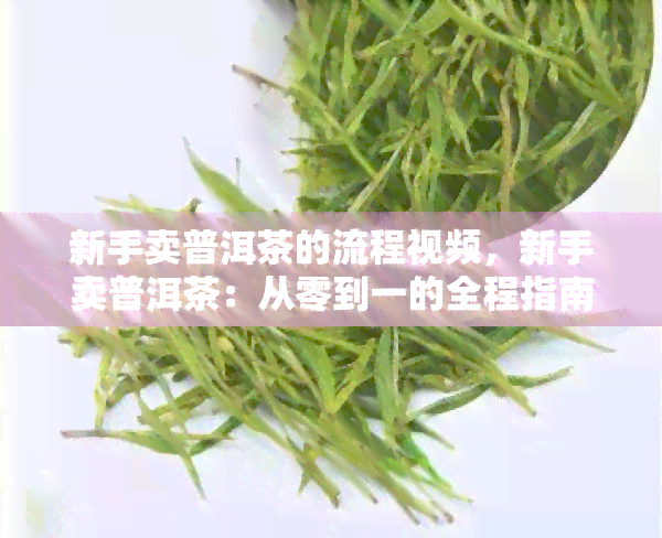 新手卖普洱茶的流程视频，新手卖普洱茶：从零到一的全程指南视频