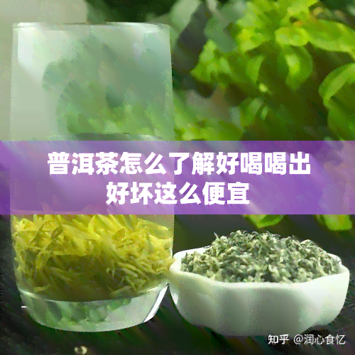 普洱茶怎么了解好喝喝出好坏这么便宜