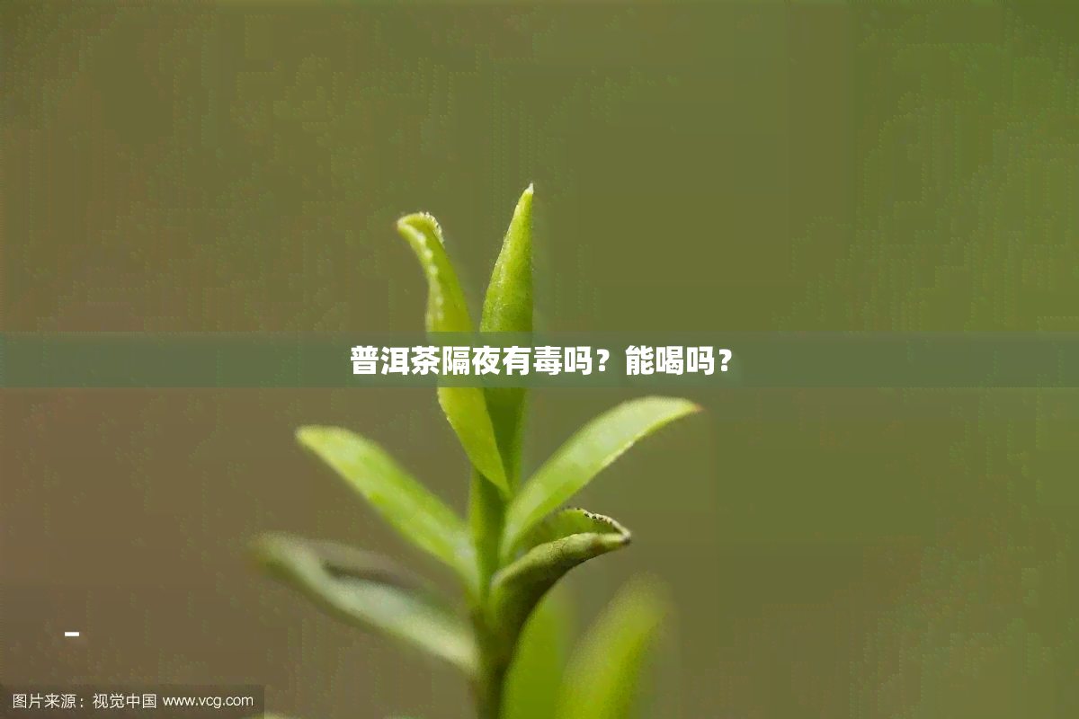 普洱茶隔夜有吗？能喝吗？